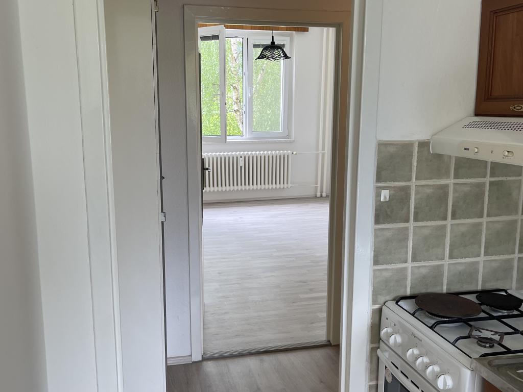 Pronajem bytu 1+1 38 m2
