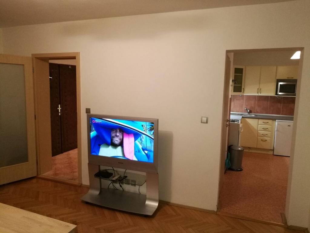 Pronajem bytu 2+1 56 m2