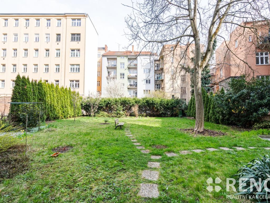 Pronájem bytu 3+kk 50 m2