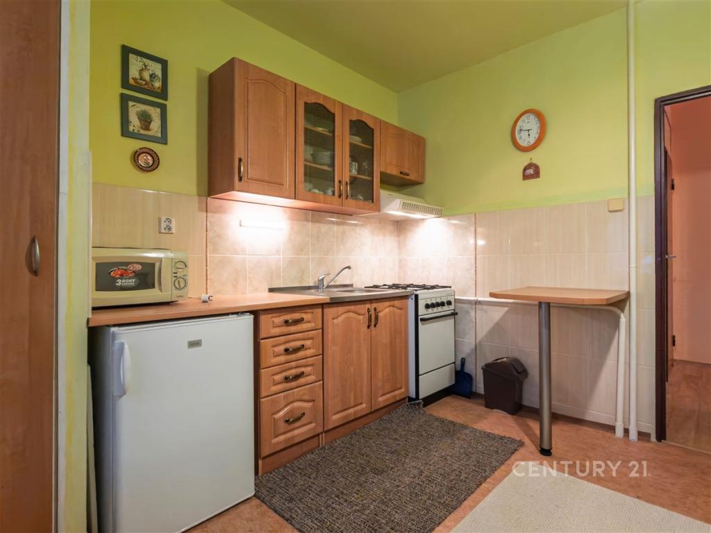 Pronájem bytu 1+1 42 m2