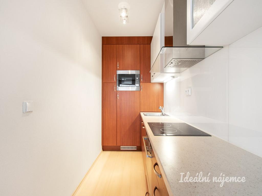 Pronájem bytu 1+1 47 m2