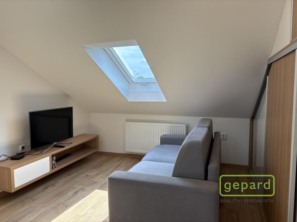 Pronájem bytu 2+1 40 m² - Widok 6