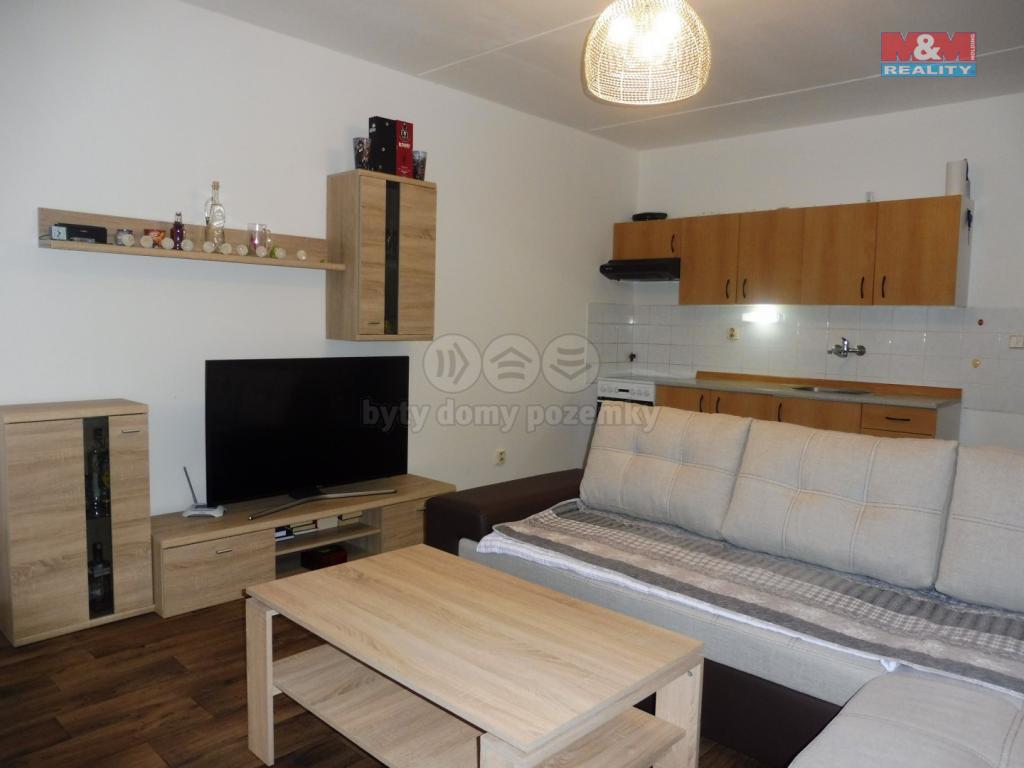 Pronajem bytu 1+kk 43 m2