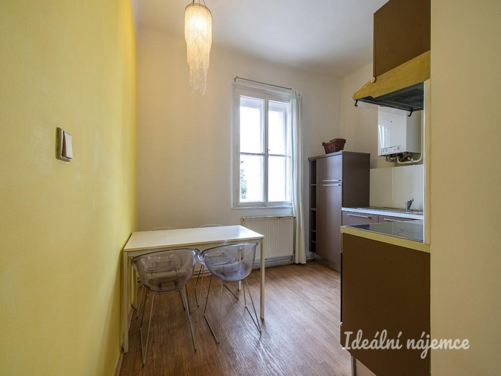 Pronájem bytu 1+1 45 m2