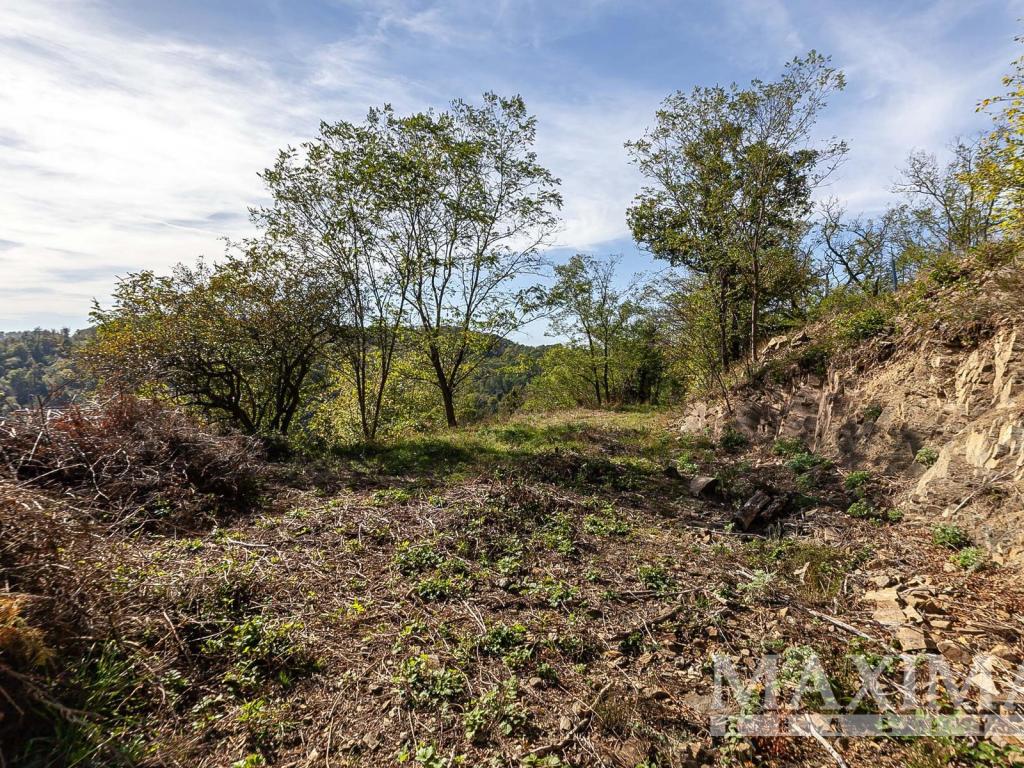 Prodej pozemku 7462 m2, Solenice – náhled fotky 22
