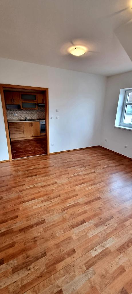 Pronajem bytu 1+1 40 m2