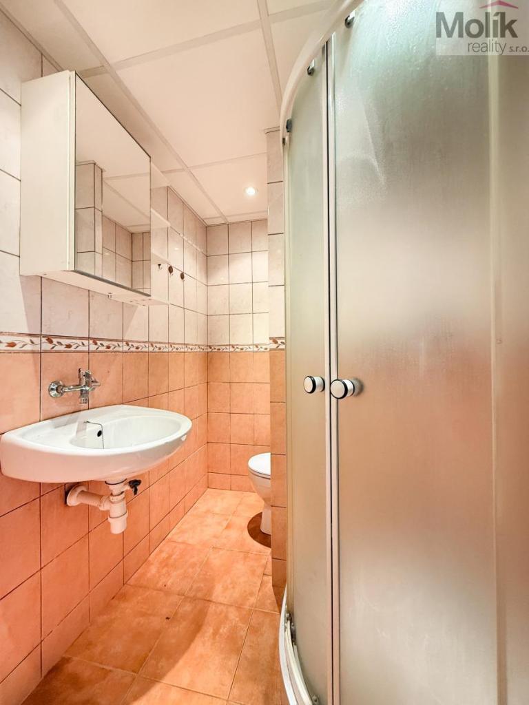 Pronájem bytu 1+kk 22 m2