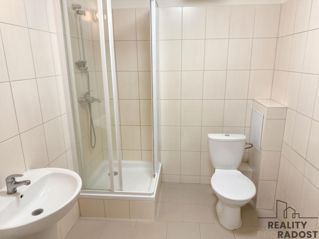 Pronájem bytu 1+kk 36 m2
