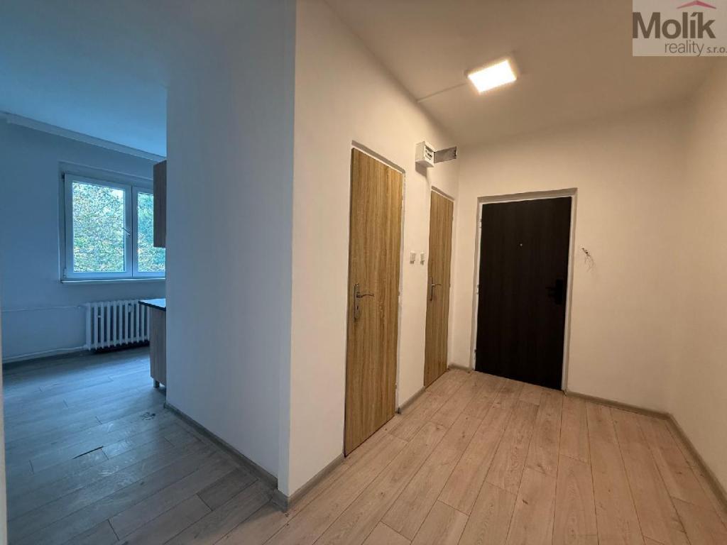 Pronájem bytu 2+1 55 m2, Bílina – náhled fotky 3