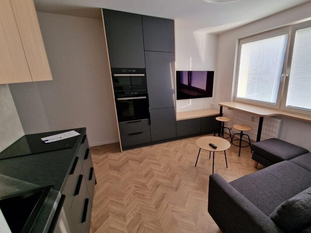 Pronájem bytu 1+1 48 m2