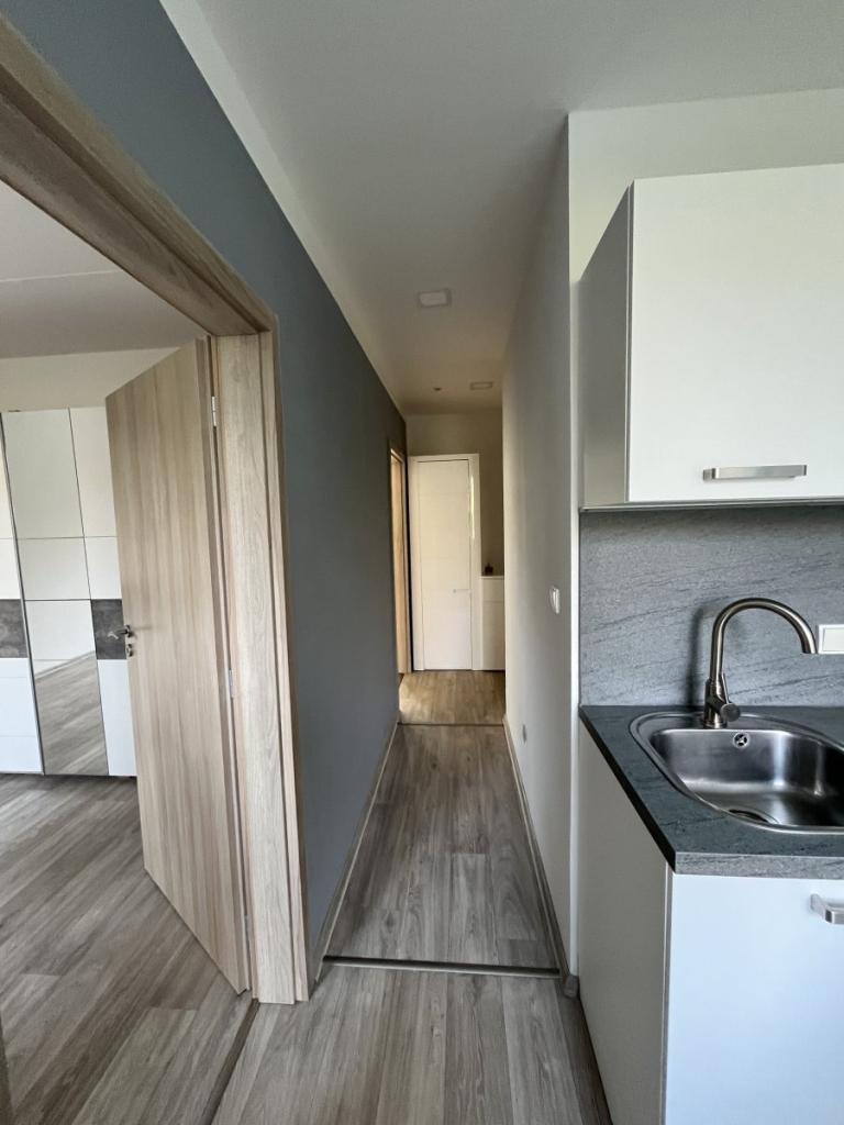 Pronájem bytu 2+1 58 m2