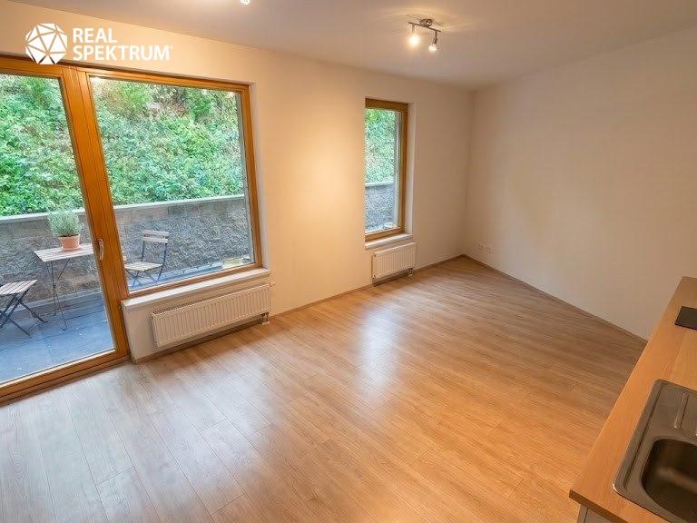 Pronájem bytu 1+kk 48 m2