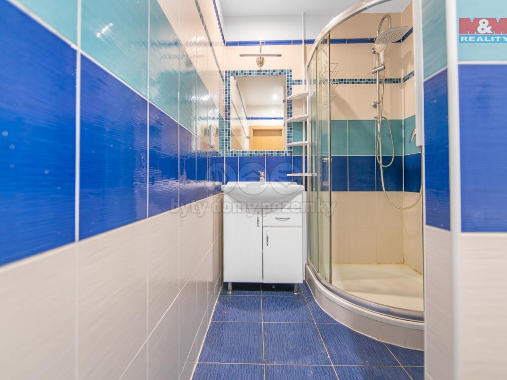 Pronajem bytu 2+1 68 m2