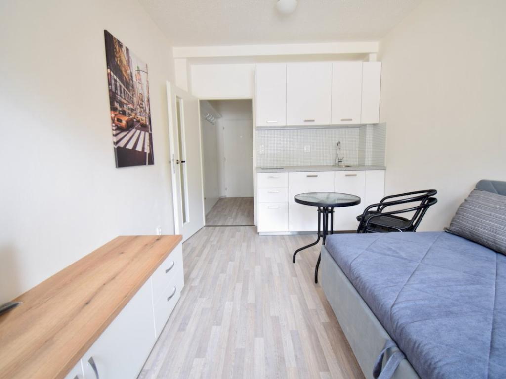 Pronájem bytu 1+kk 20 m2