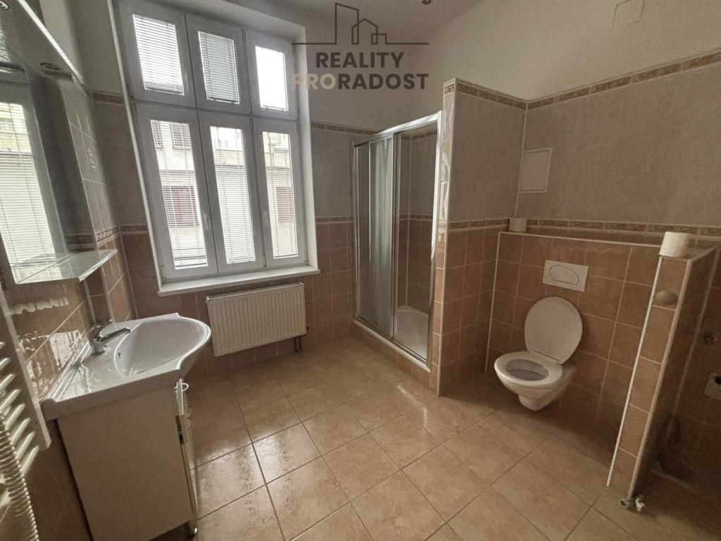 Pronájem bytu 1+kk 46 m2