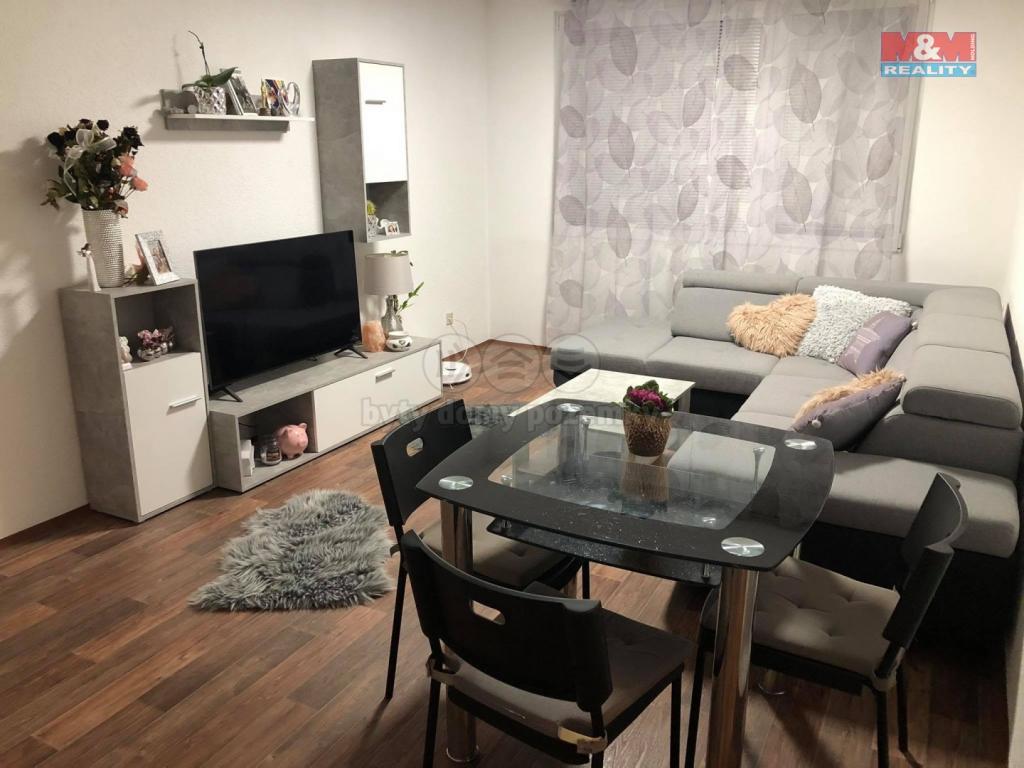 Pronajem bytu 2+1 60 m2