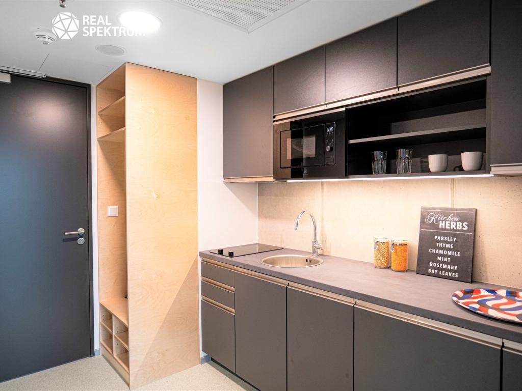 Pronájem bytu 1+kk 24 m2