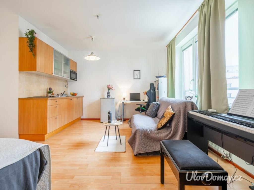 Pronájem bytu 1+kk 33 m2