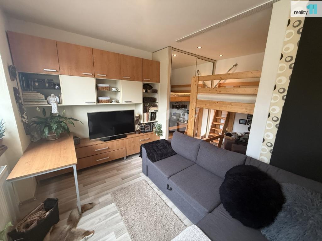 Pronájem bytu 1+kk 33 m2