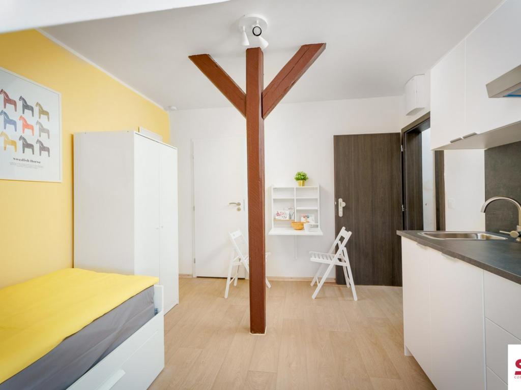 Pronájem bytu 1+kk 20 m2