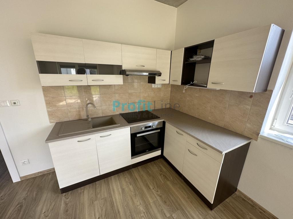 Pronajem bytu 1+kk 46 m2