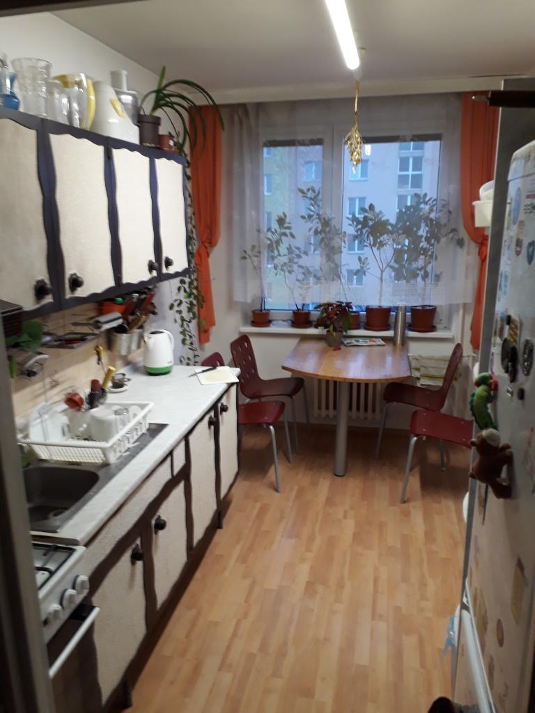 Spolubydleni bytu 2 lůžka 35 m2