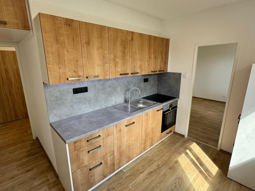 Pronájem bytu 2+1 52 m2