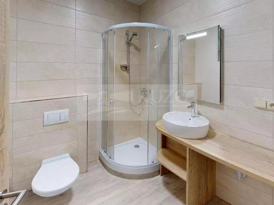 Pronájem bytu 3+kk 45 m2