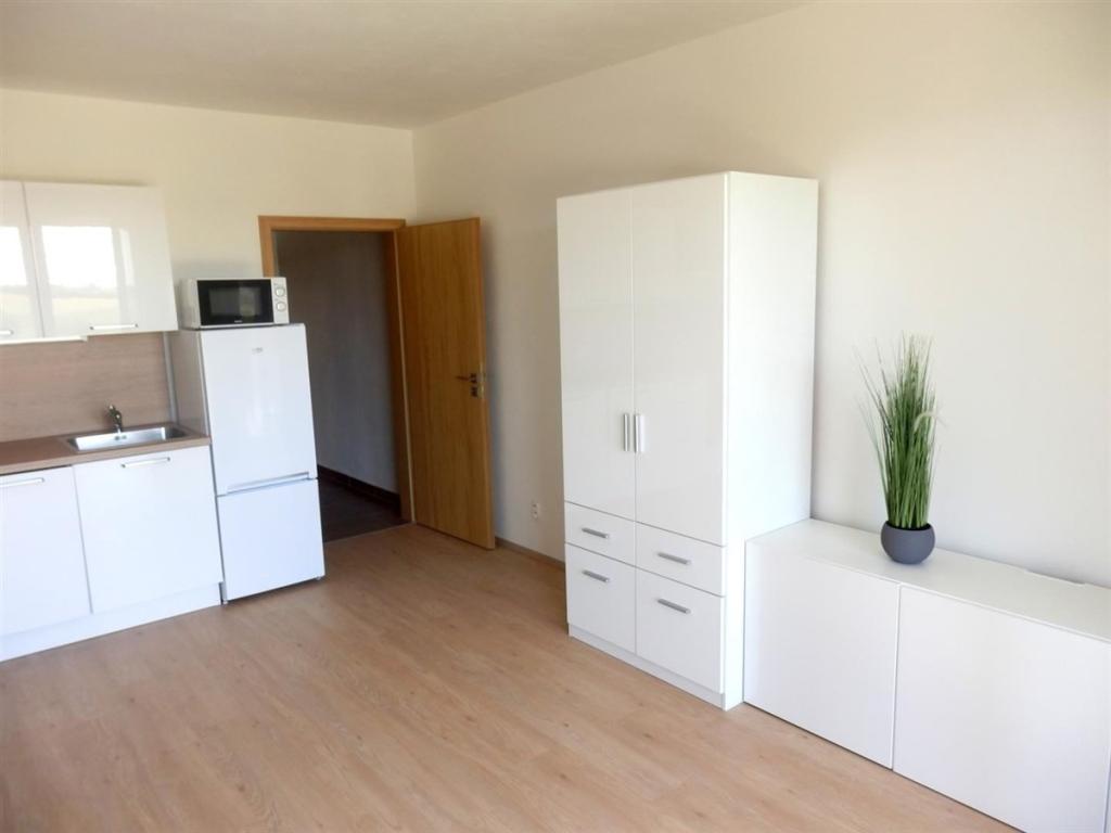Pronájem bytu 1+kk 36 m2