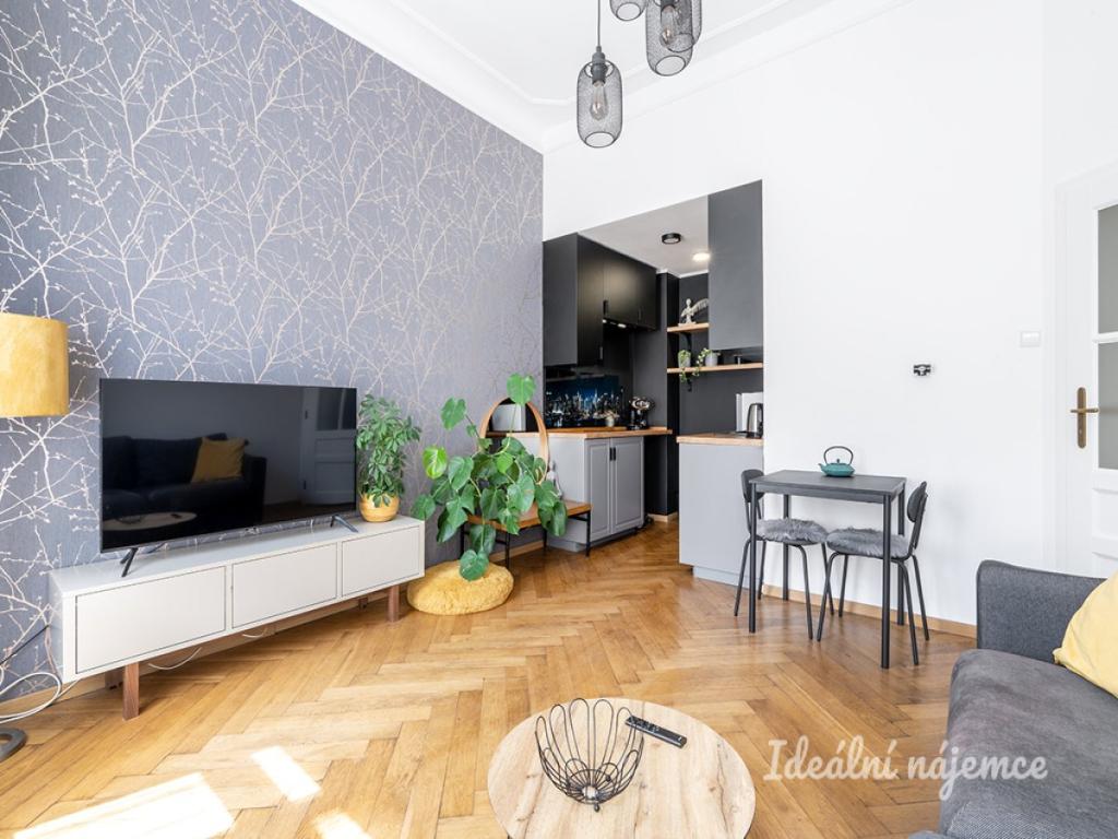 Pronájem bytu 2+kk 33 m2