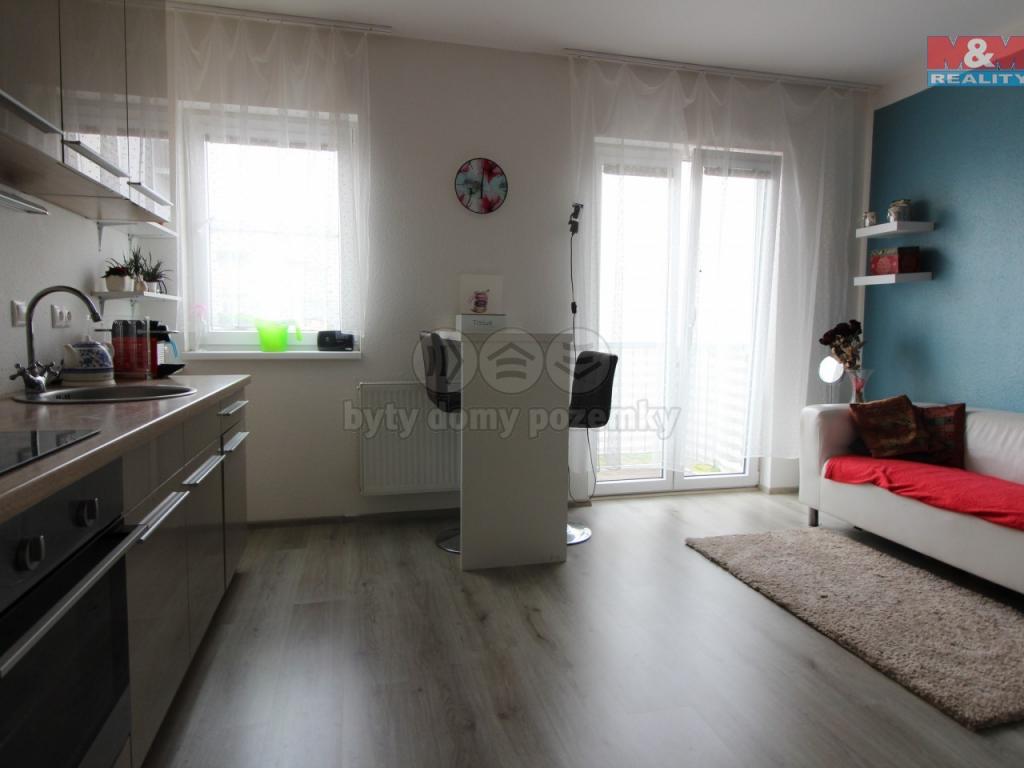 Pronajem bytu 1+kk 41 m2