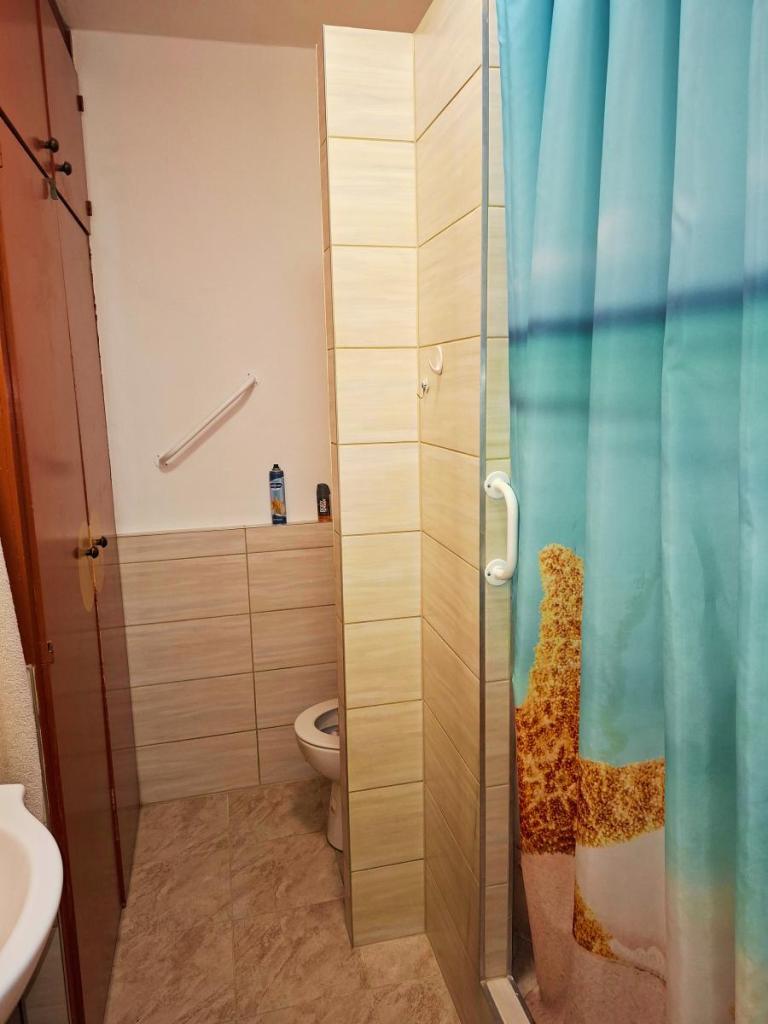 Pronájem bytu 1+1 35 m2, Frýdek-Místek – náhled fotky 7