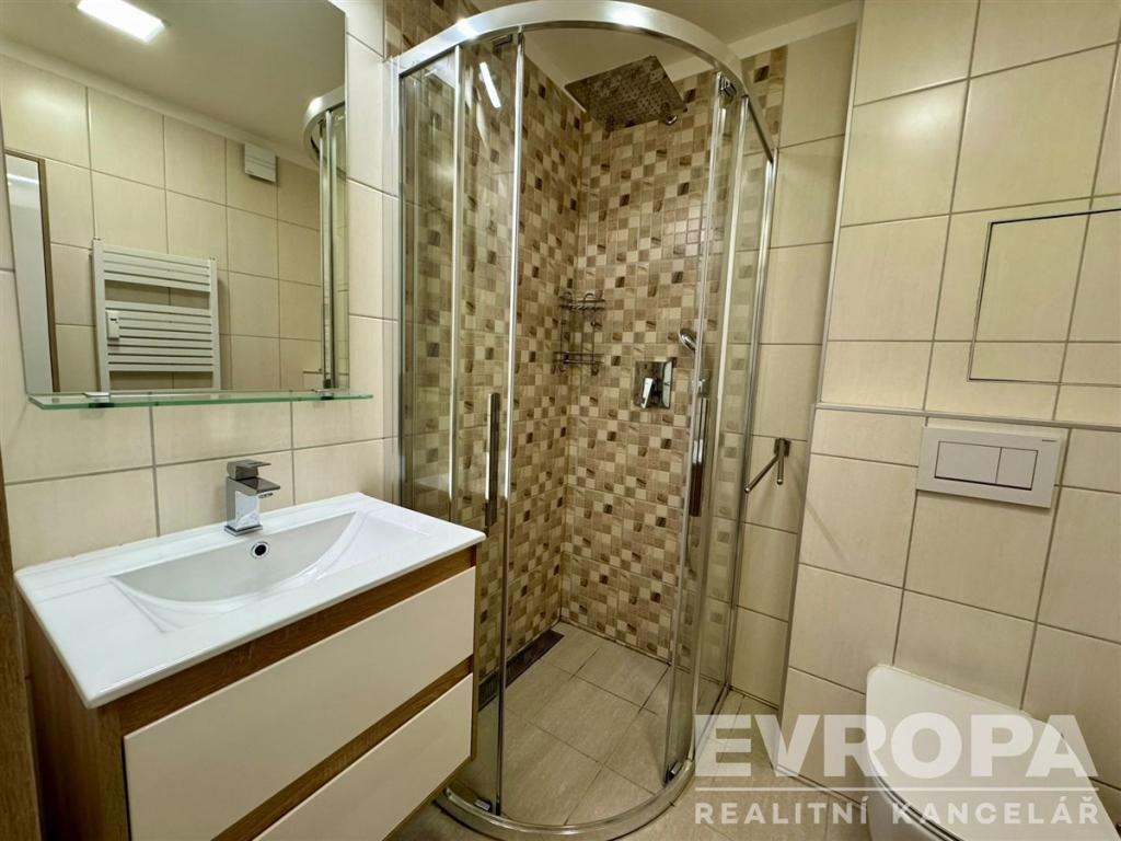 Pronájem bytu 1+1 30 m2, Plzeň – náhled fotky 10