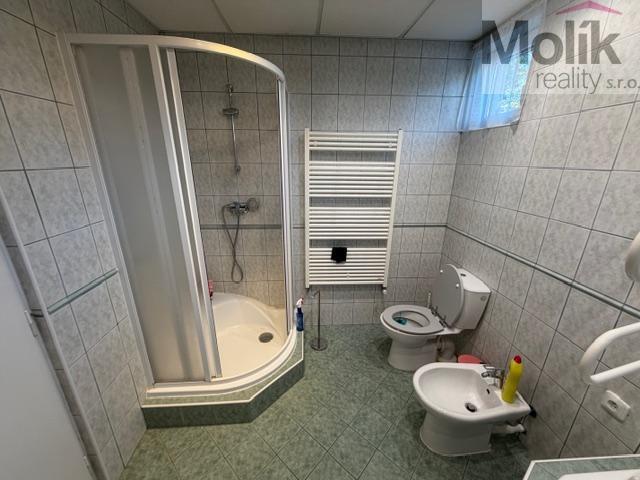 Pronájem domu 147 m2, Litvínov – náhled fotky 16