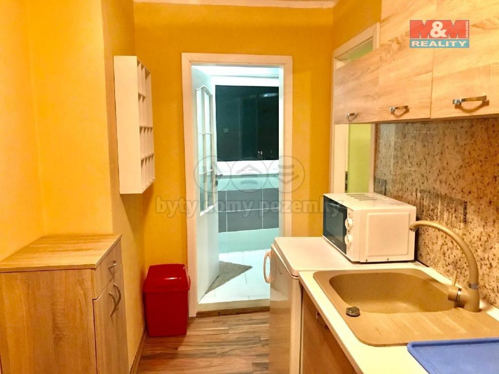 Pronajem bytu dům 503 m2