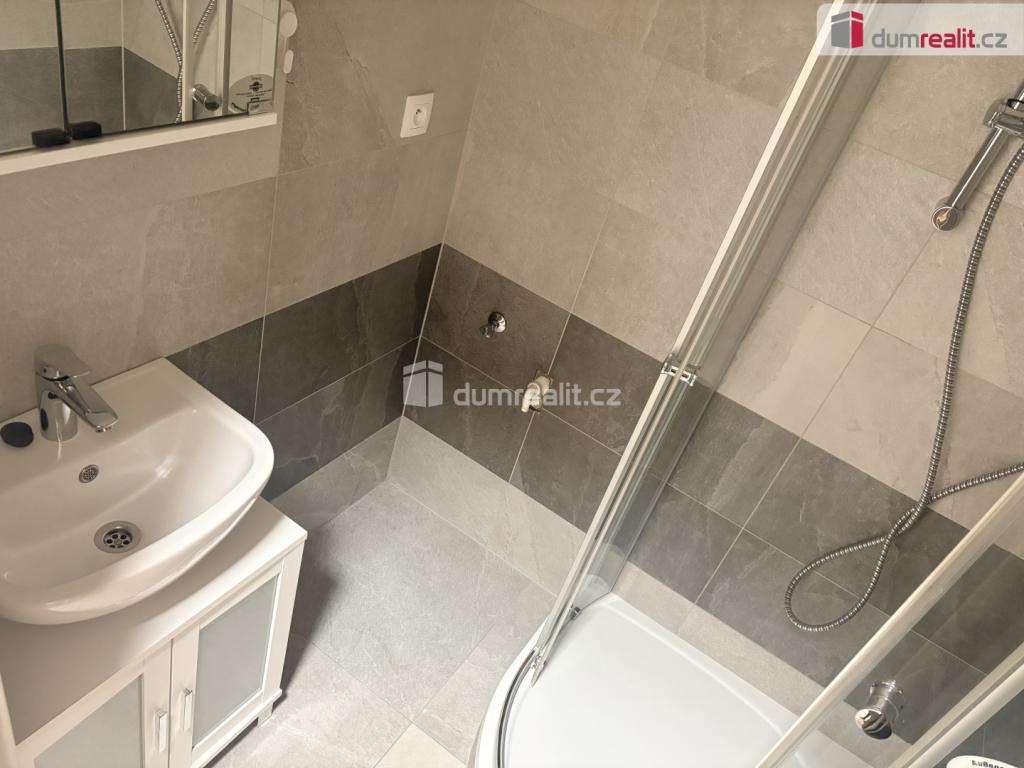 Pronájem bytu 2+1 53 m2