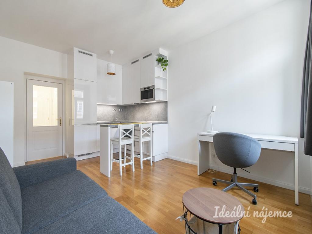 Pronájem bytu 1+kk 28 m2