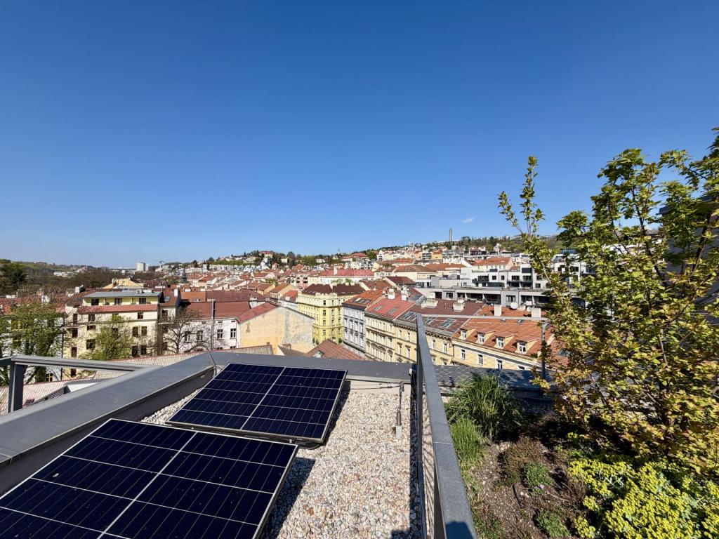 Pronájem bytu 1+kk 20 m2