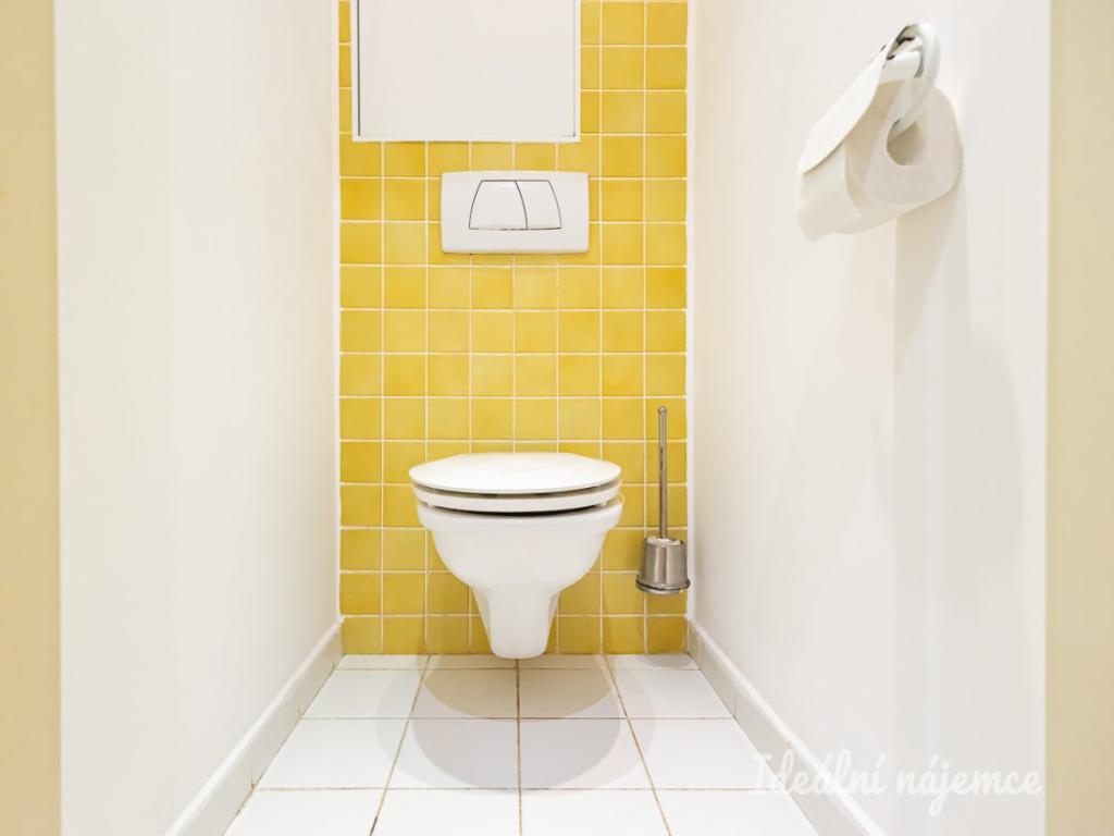 Pronájem bytu 3+kk 56 m2, Praha – náhled fotky 19