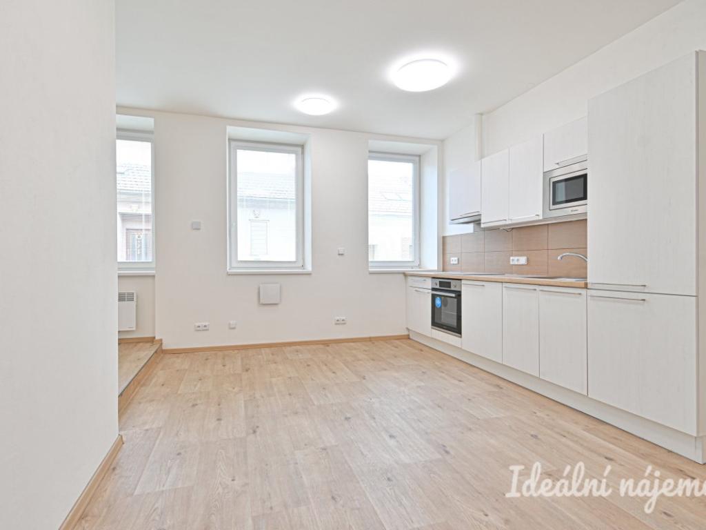 Pronájem bytu 1+kk 45 m2