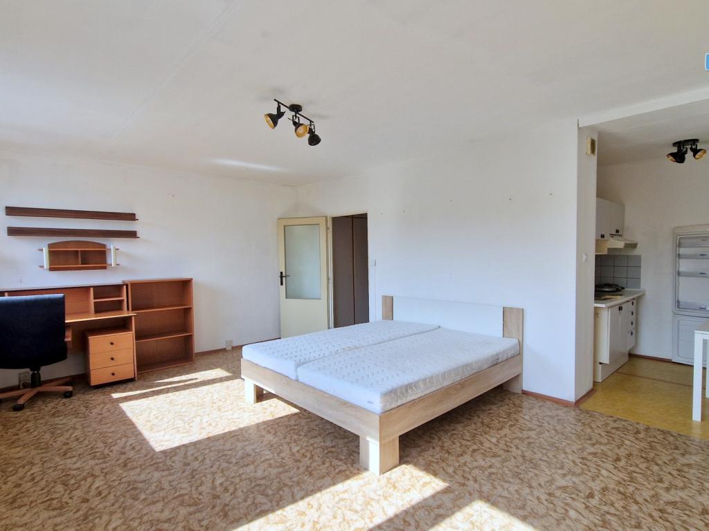 Pronájem bytu 1+kk 38 m2