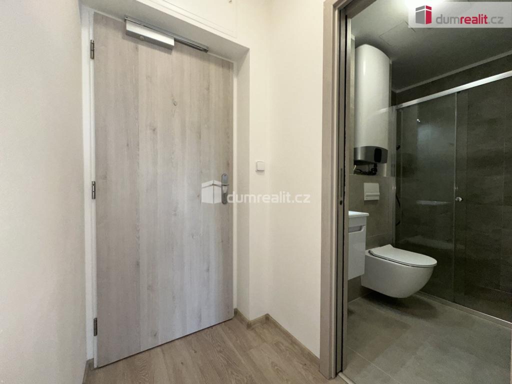 Pronájem bytu 1+kk 25 m2