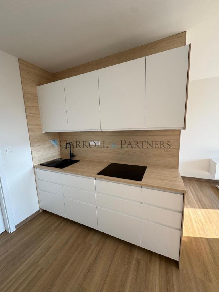 Pronájem bytu 1+kk 40 m2, Ostrava – náhled fotky 22