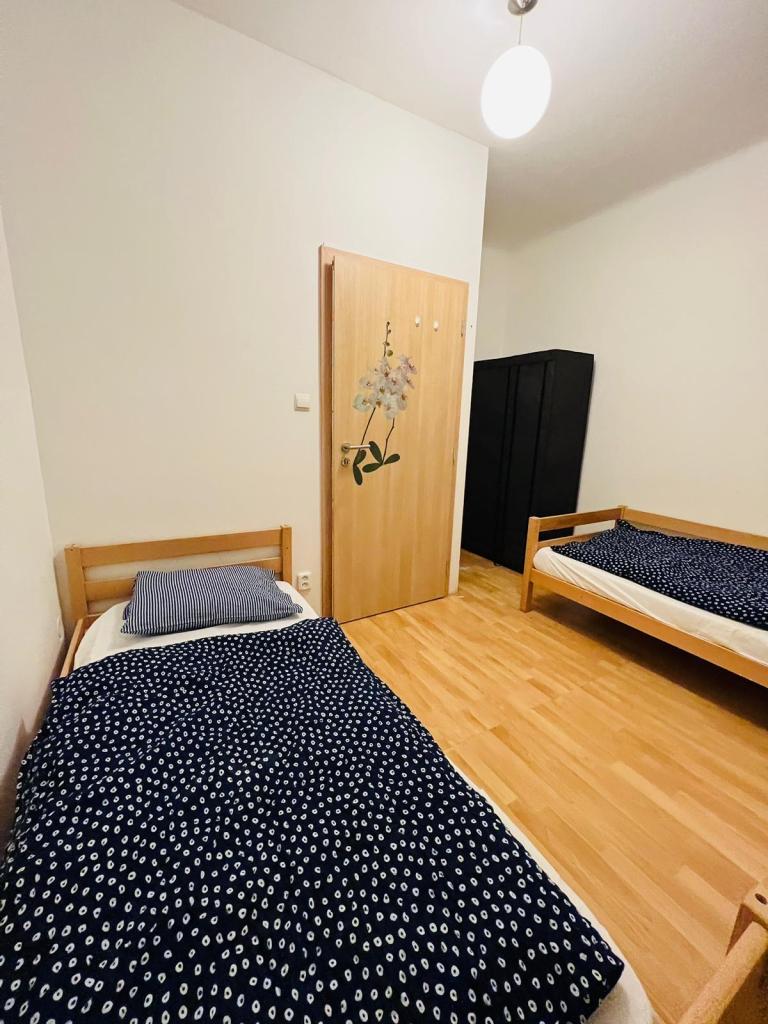 Pronájem bytu 3+1 58 m2