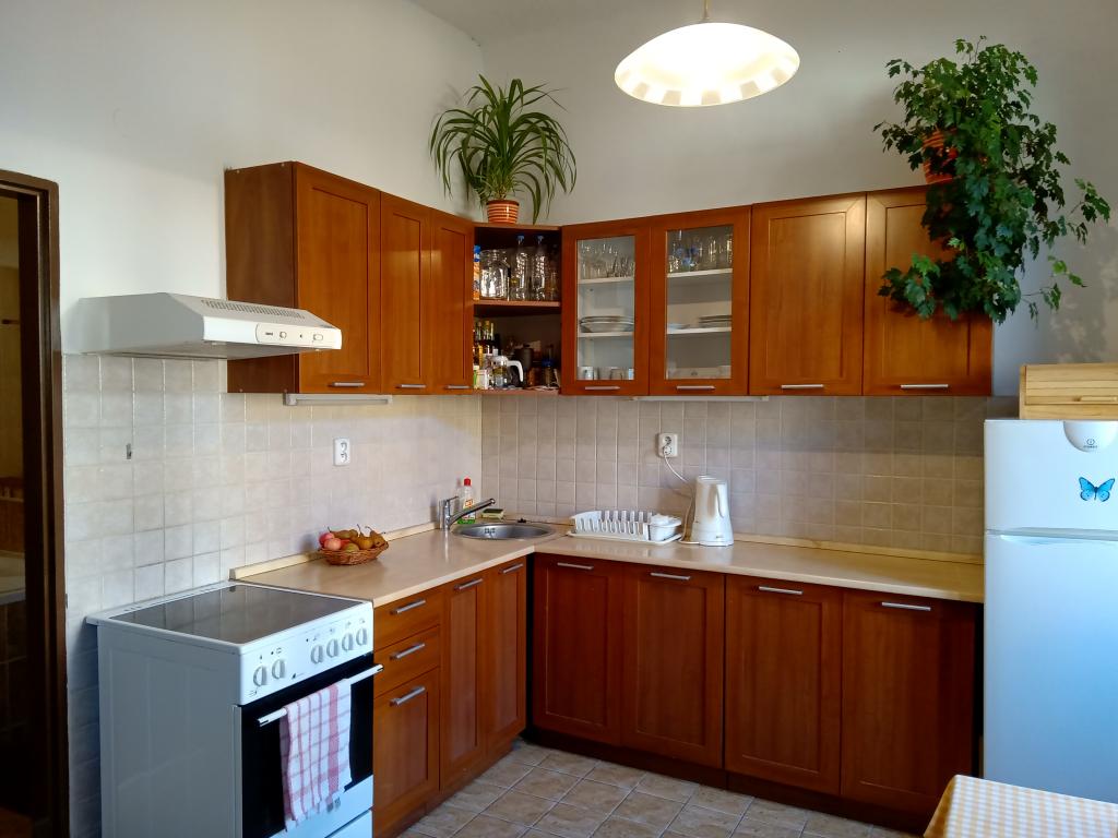 Pronajem bytu 1+1 30 m2