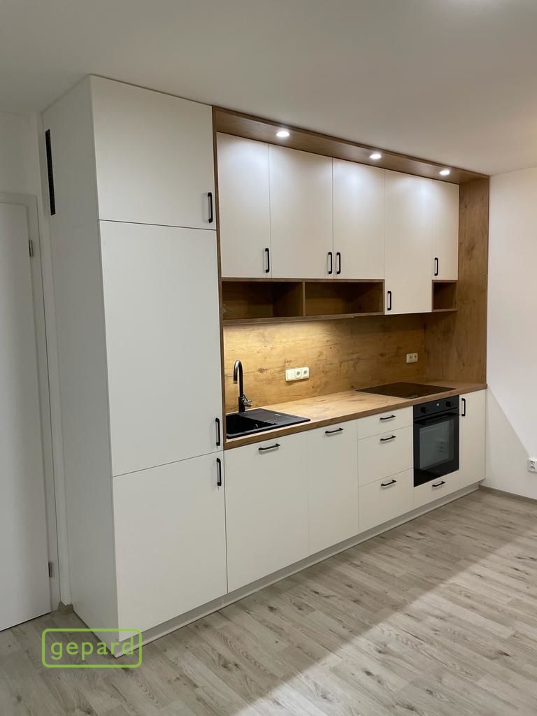 Pronájem bytu 1+kk 45 m2