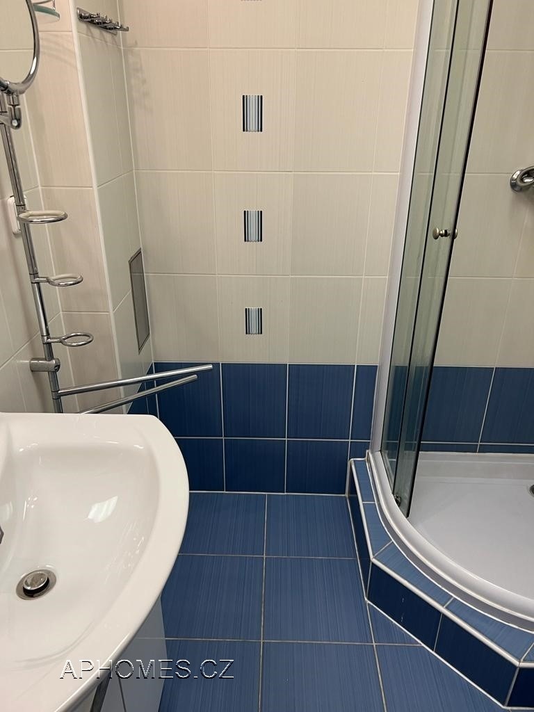 Pronájem bytu 1+1 46 m2