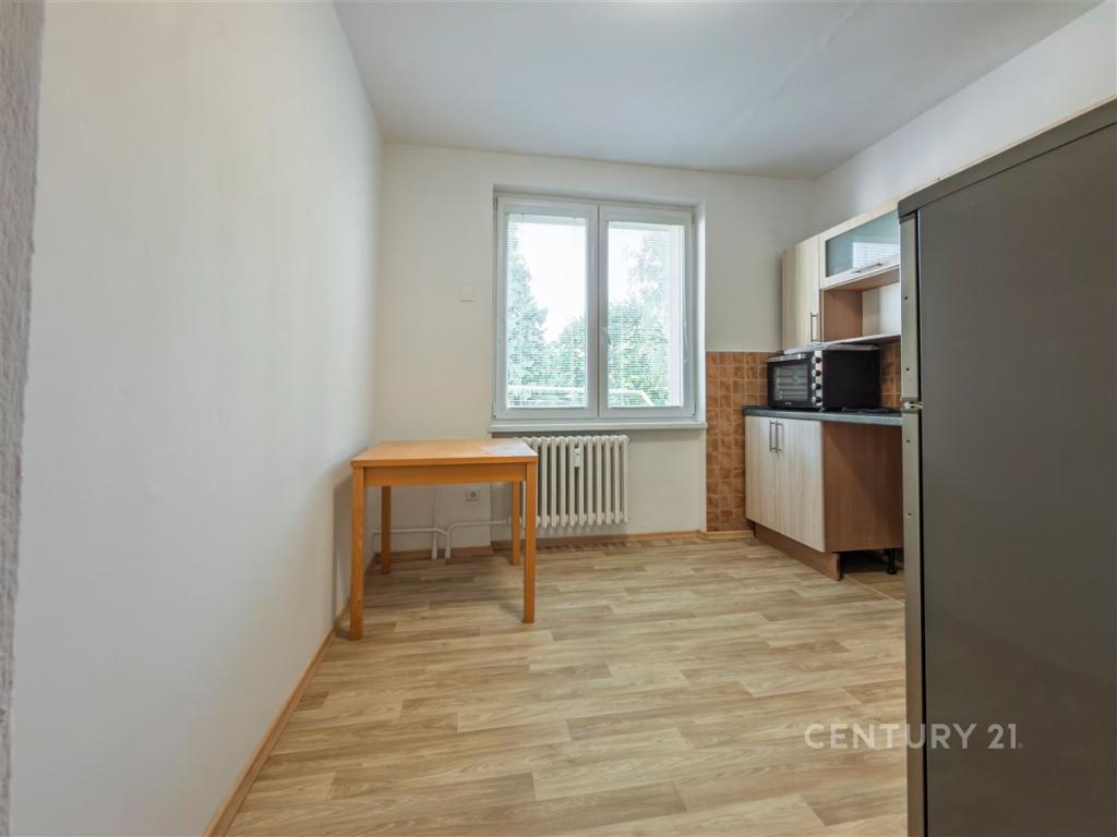 Pronájem bytu 1+1 42 m2
