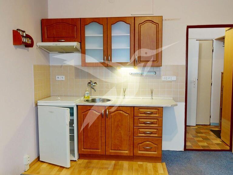 Pronájem bytu 1+kk 20 m2
