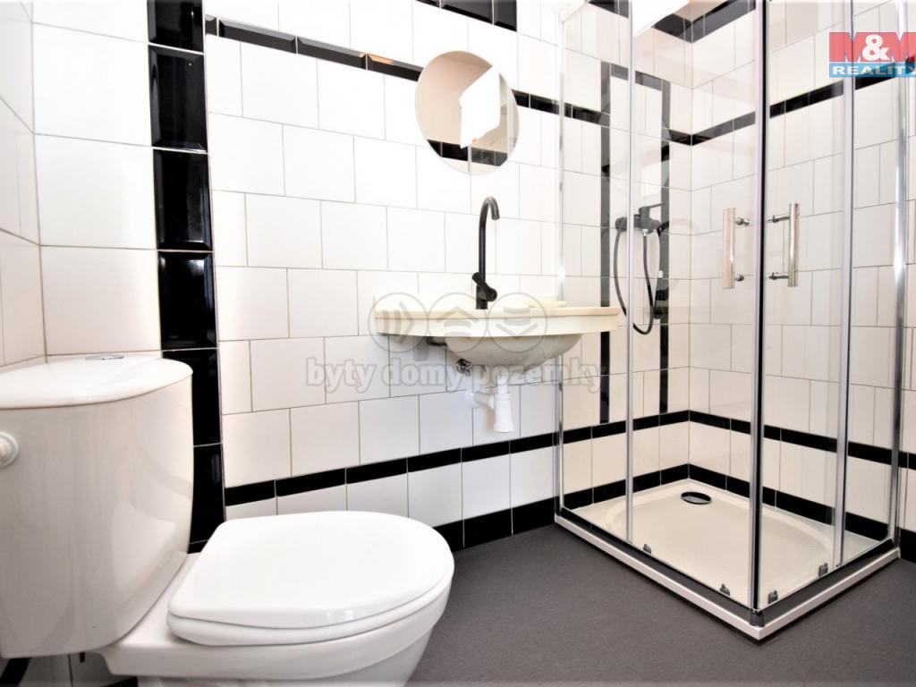Pronajem bytu 1+kk 26 m2
